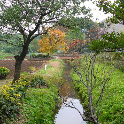 野火止用水