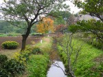 Nobidome green path