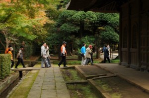 平林寺紅葉の画像