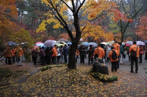 平林寺　紅葉 114