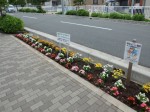 石神町会による植栽