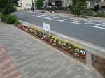 北原町会による植栽