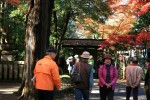 平成26年11月27日撮影平林寺境内